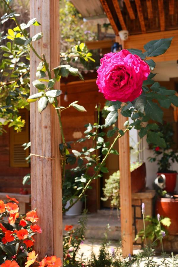 Soul Pnb Homestay Dalat Exterior foto