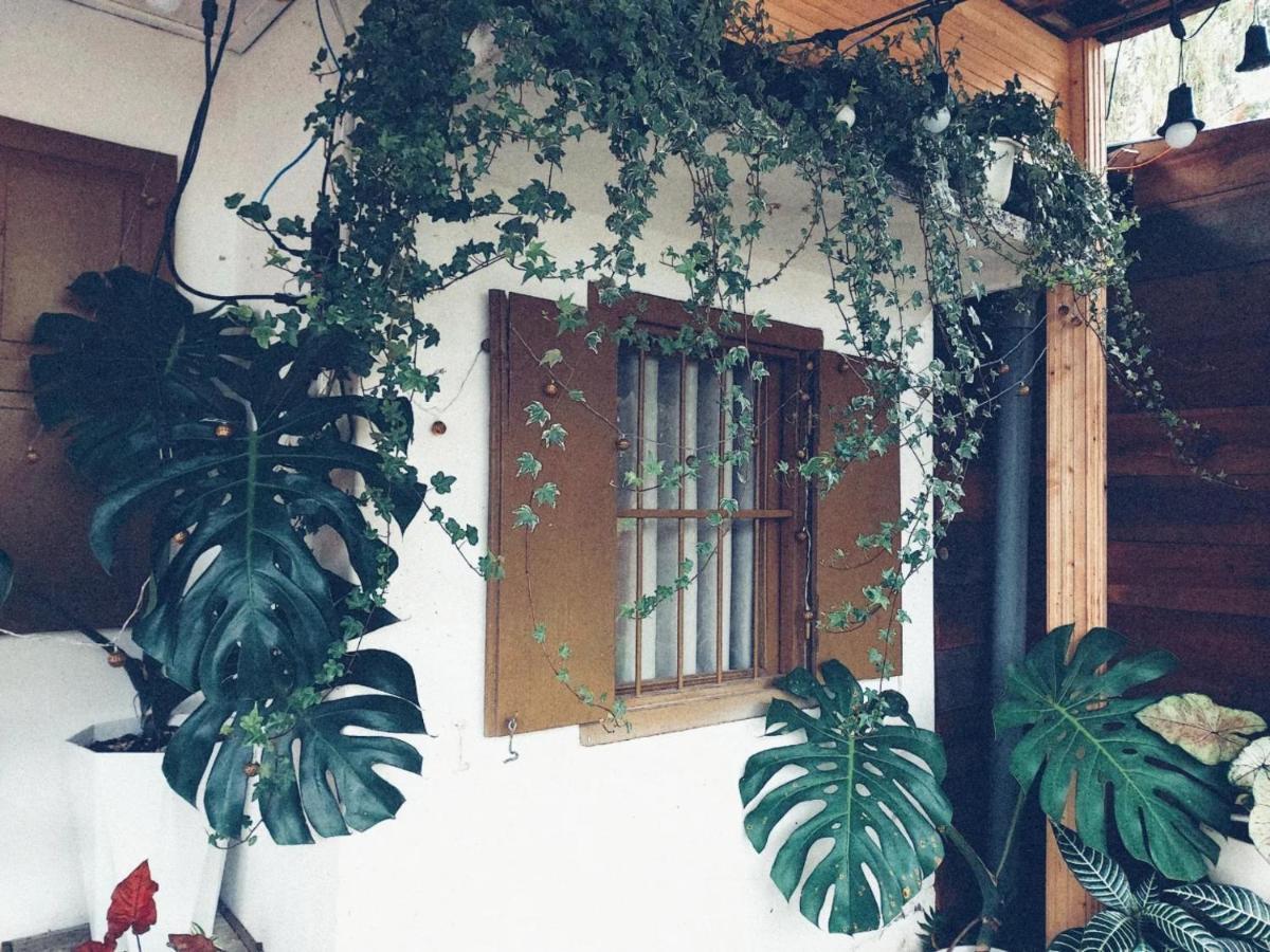 Soul Pnb Homestay Dalat Exterior foto